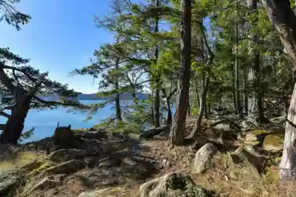 Lot A Beechwood Drive, Mayne Island, BC, Mayne Island — Land for sale