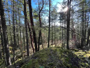 LOT 1 13685 Lee Road, Garden Bay, BC, Garden Bay — Land for sale
