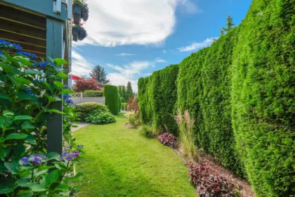 46 9012 Walnut Grove Drive, Langley, BC, Langley — Townhouse for sale