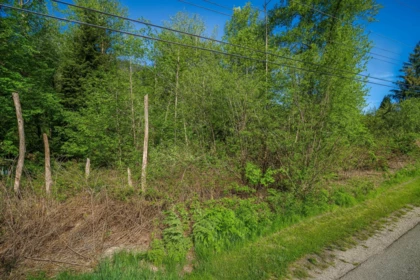 12999 Stave Lake Road, Mission, BC, Mission — Land for sale