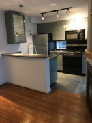 1505 1068 Hornby Street, Vancouver, BC