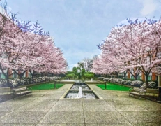 412 618 W 45th Avenue, Vancouver, BC