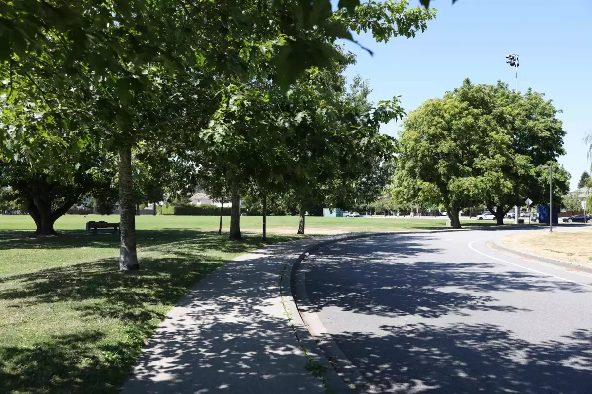 Backyard Photo of 6580 Williams Road, Richmond, BC