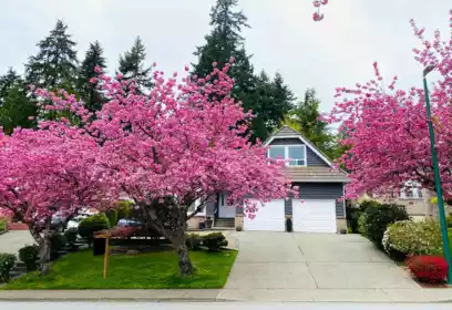 2443 Leclair Drive, Coquitlam, BC, Coquitlam — Single Family Residence for sale