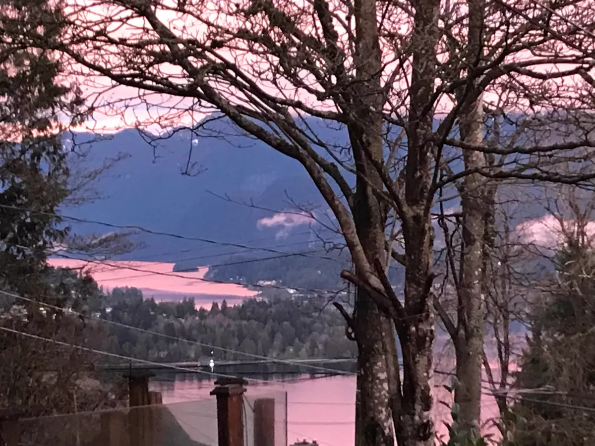 Pantry Photo of 190 N Ellesmere Avenue, Burnaby, BC