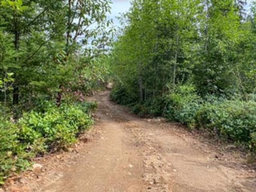 LOT 01 Cudmore Road, Salt Spring Island, BC, Salt Spring Island — Land for sale