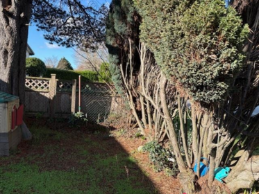 76 W 62nd Avenue, Vancouver, BC