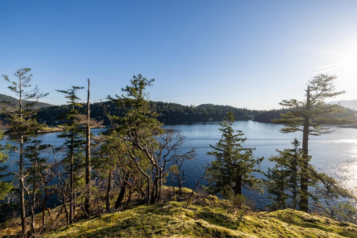 Basement Recreation Room Photo of Lot 24 Pender Landing Road, Garden Bay, BC