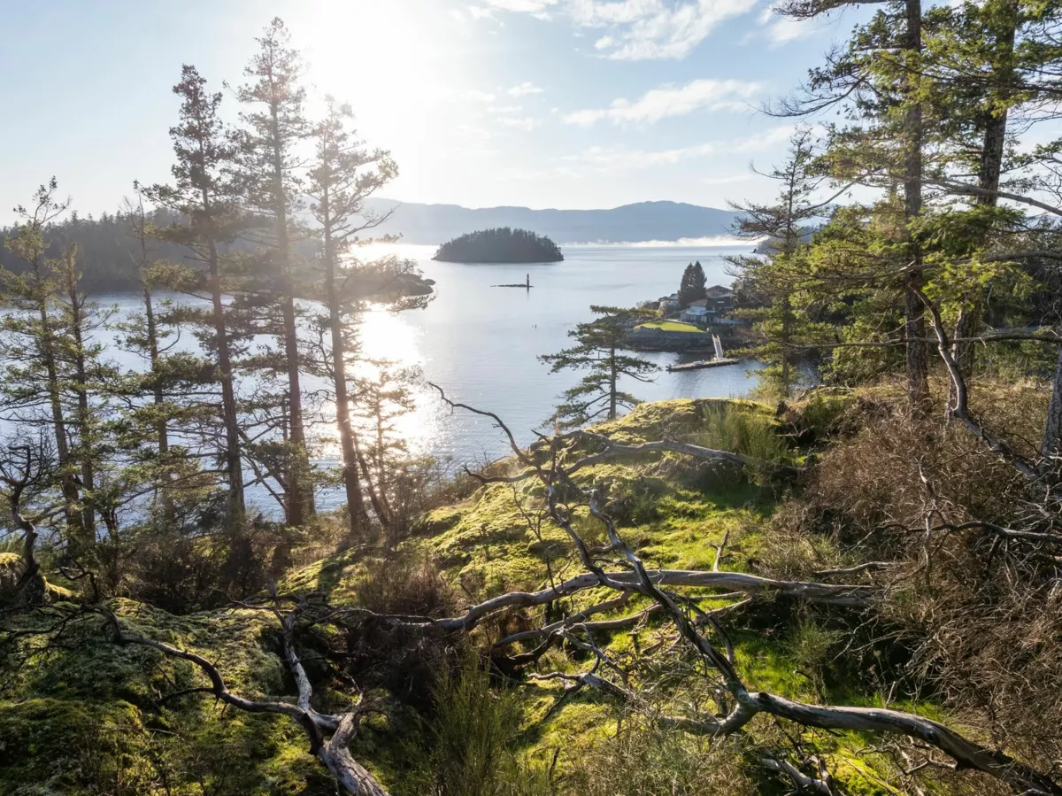 Bedroom 2 Photo of Lot 24 Pender Landing Road, Garden Bay, BC