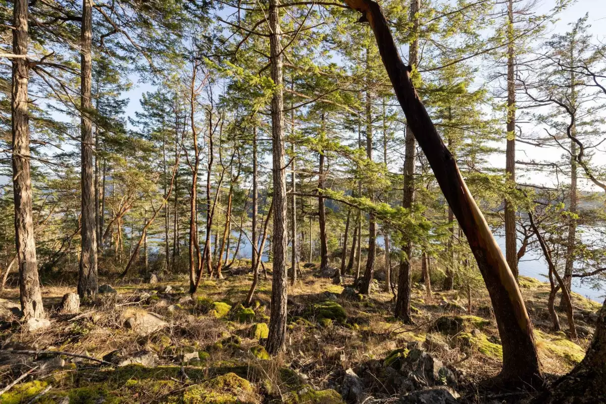 Entry Foyer Photo of Lot 24 Pender Landing Road, Garden Bay, BC