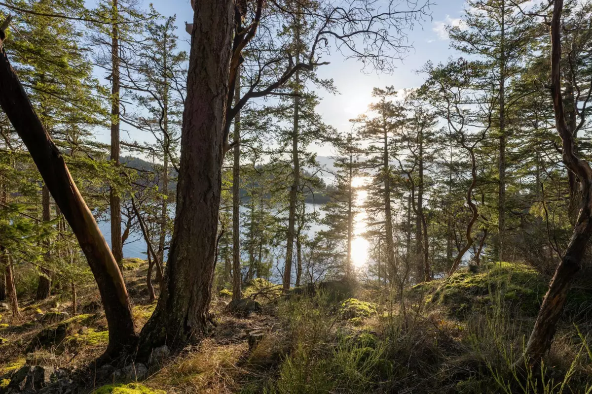 Hallway Photo of Lot 24 Pender Landing Road, Garden Bay, BC