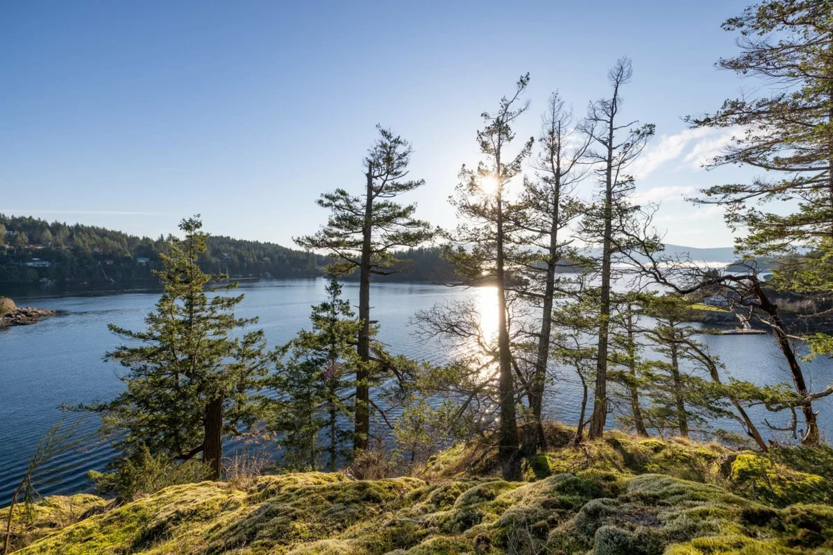 Laundry Room Photo of Lot 24 Pender Landing Road, Garden Bay, BC