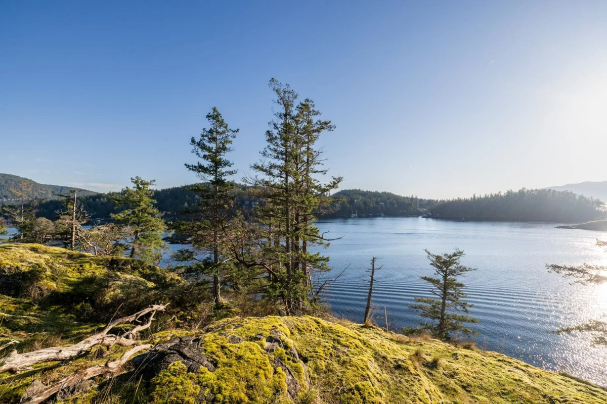 Loft / Bonus Room Photo of Lot 24 Pender Landing Road, Garden Bay, BC