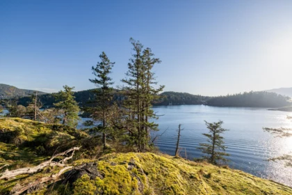 Loft / Bonus Room Photo of Lot 24 Pender Landing Road, Garden Bay, BC