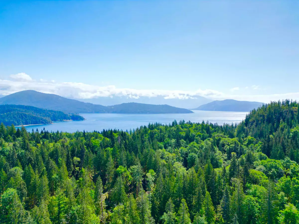 Garden / Landscaping Photo of 722 West Bay Road, Gambier Island, BC