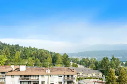 Neighborhood Park Photo Near 508 2015 St. Johns Street, Port Moody, BC