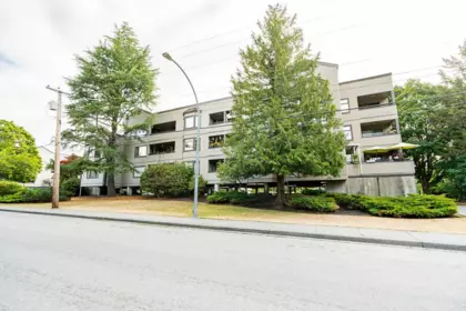 106 5224 204 Street, Langley, BC, Langley — Apartment/Condo for sale