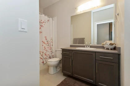 Laundry Room Photo of 133 6026 Lindeman Street, Chilliwack, BC
