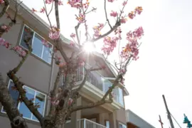 307 5711 Mermaid Street, Sechelt, BC