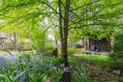 Backyard Photo of 6138 Portland Street, Burnaby, BC