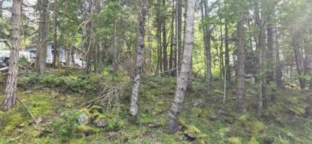 242 Mariners Way, Mayne Island, BC, Mayne Island — Land for sale