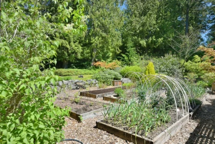 Garden / Landscaping Photo of 8071 Wildwood Road, Halfmoon Bay, BC