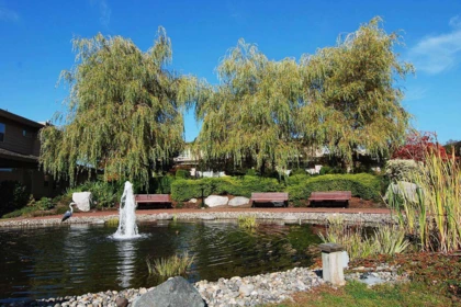 Neighborhood Park Photo Near 104 16655 64 Avenue, Surrey, BC
