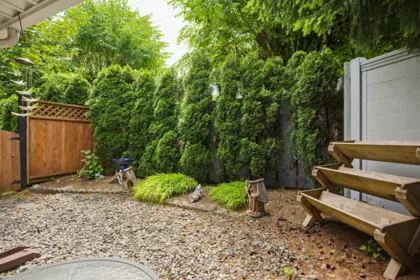 Front Yard Photo of 3 20841 Dewdney Trunk Road, Maple Ridge, BC