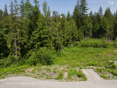 27031 124b Avenue, Maple Ridge, BC, Maple Ridge — Land for sale