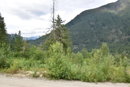 Pantry Photo of 66412 Othello Road, Hope, BC