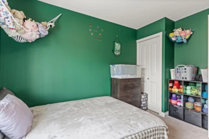 Laundry Room Photo of 10 1609 Agassiz-Rosedale No 9 Highway, Agassiz, BC