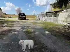 12853 Harris Road, Pitt Meadows, BC