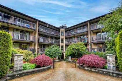 Exterior Rear Photo of 118 9847 Manchester Drive, Burnaby, BC