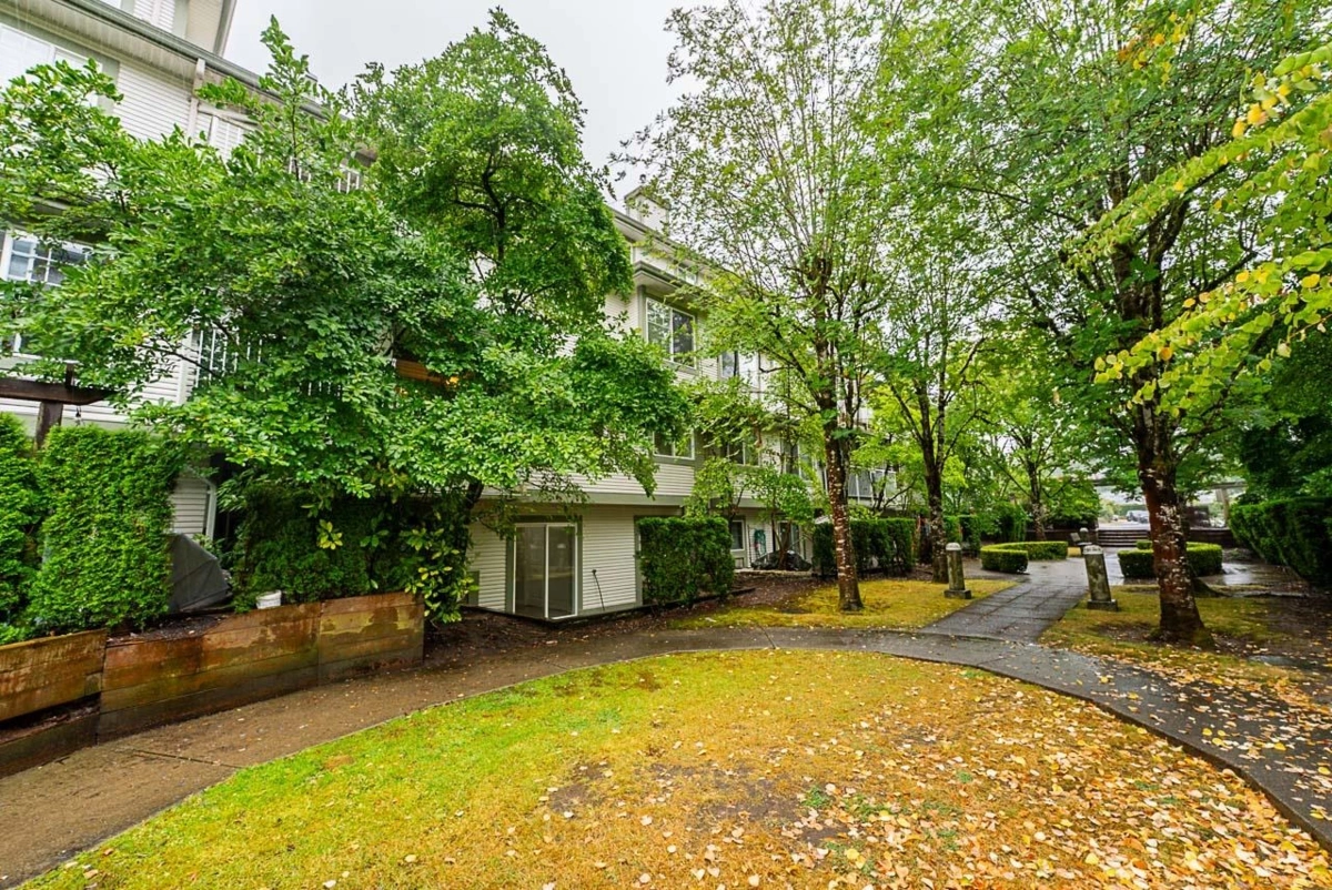 Backyard Photo of 48 8892 208 Street, Langley, BC