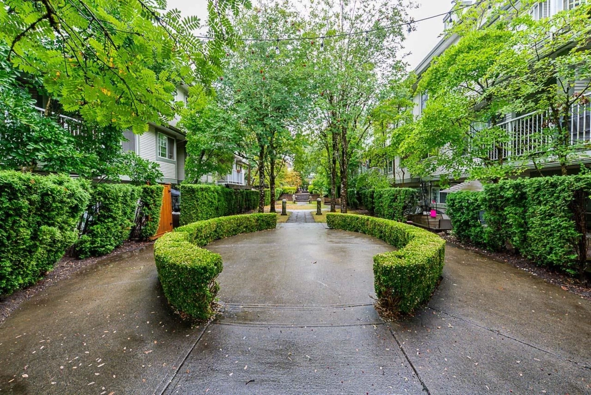 Front Yard Photo of 48 8892 208 Street, Langley, BC