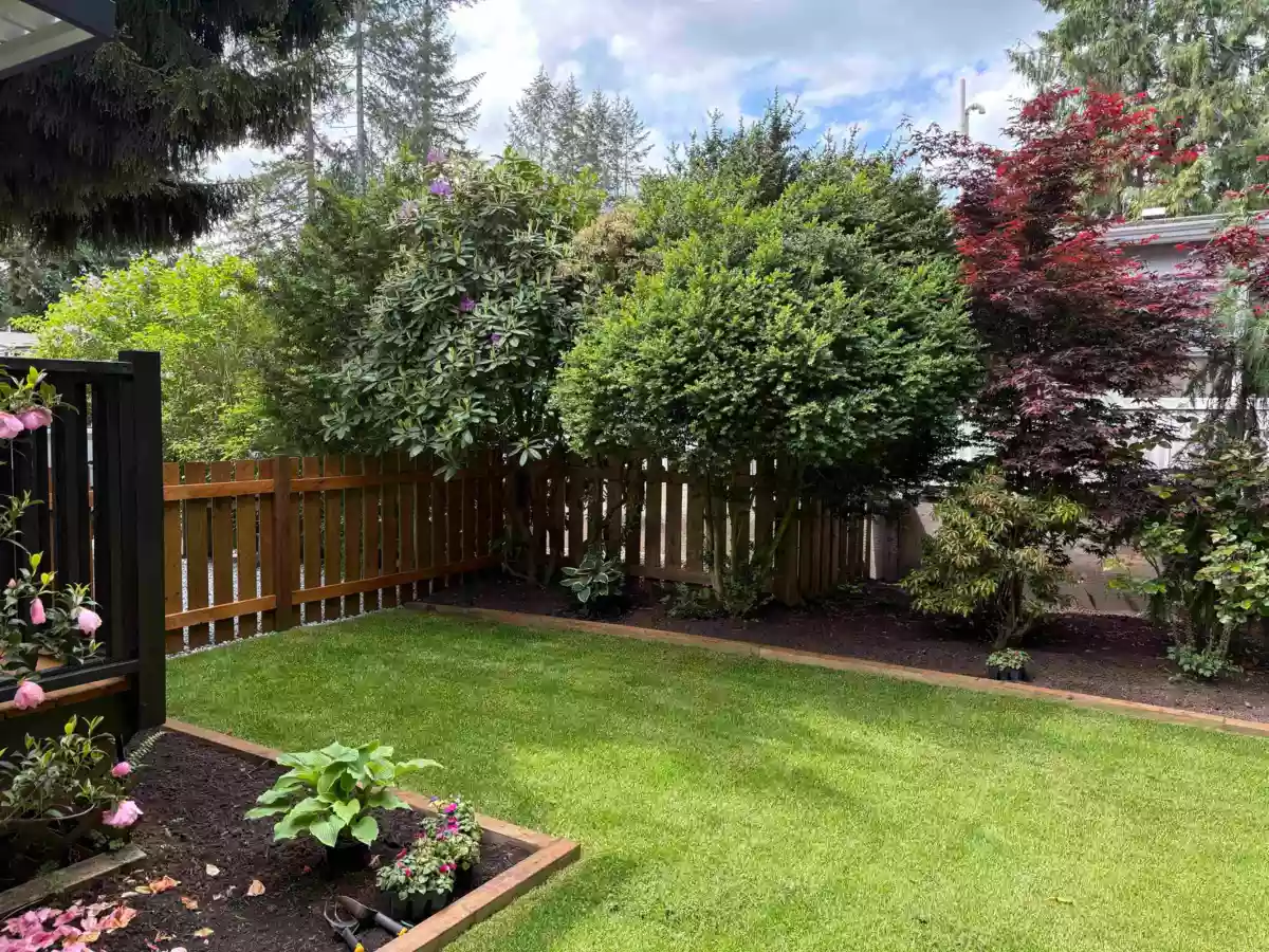 Exterior Rear Photo of 33 23325 Calvin Crescent, Maple Ridge, BC