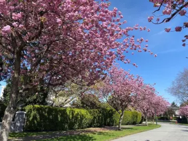 Community Amenities Photo (Clubhouse) of 1368 Minto Crescent, Vancouver, BC