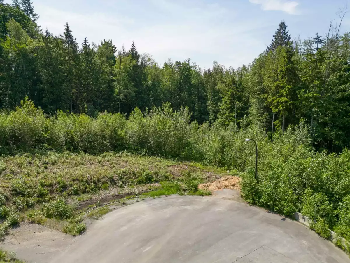Living Room Photo of 27018 124b Avenue, Maple Ridge, BC