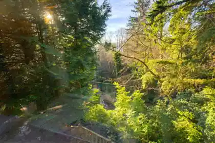 Aerial View of 412 Elm Street, Port Moody, BC