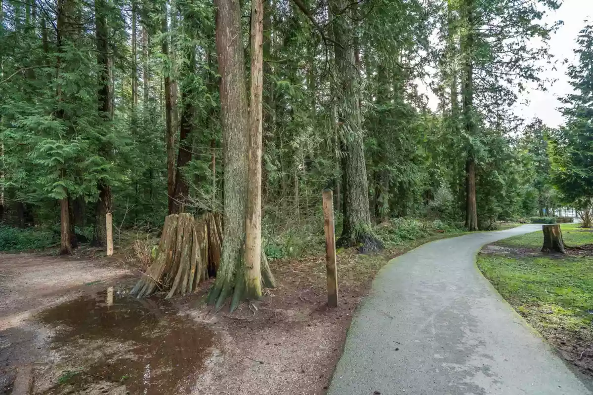 Street View Photo of 1705 3487 Binning Road, Vancouver, BC