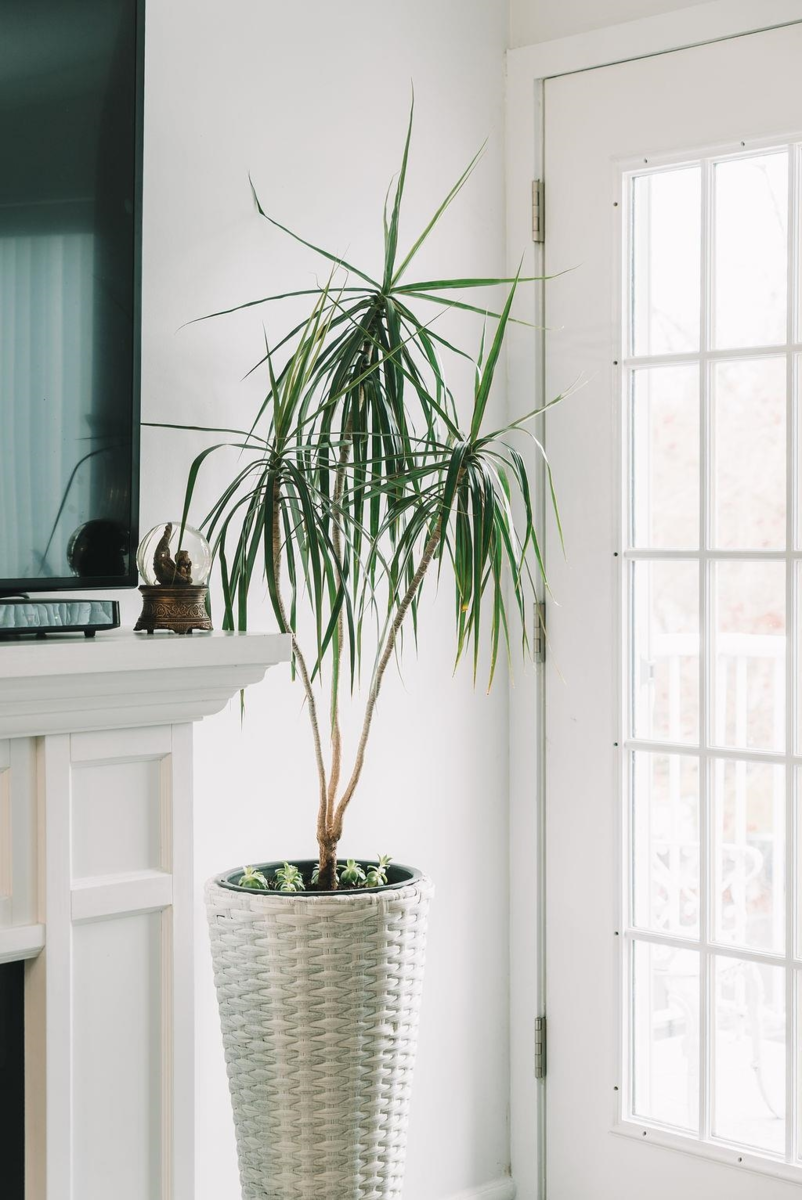 Basement Recreation Room Photo of 301 19236 Ford Road, Pitt Meadows, BC