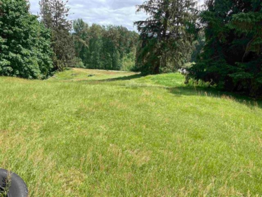 32383 Downes Road, Abbotsford, BC, Abbotsford — Single Family Residence for sale