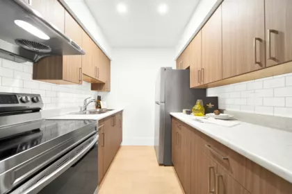 Kitchen Photo of 207 37 Agnes Street, New Westminster, BC