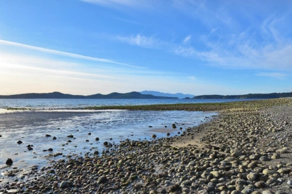 Aerial View of 8429 Redrooffs Road, Halfmoon Bay, BC