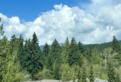 Aerial View of 704 995 Roche Point Drive, North Vancouver, BC