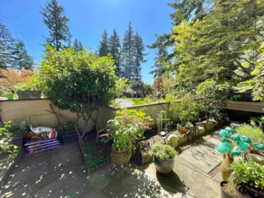 Outdoor Patio Photo of 103 12757 16 Avenue, Surrey, BC