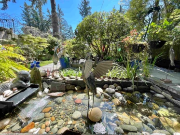 Swimming Pool Photo of 103 12757 16 Avenue, Surrey, BC