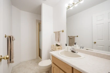 Powder Room Photo of 4866 196th Street Street, Langley, BC