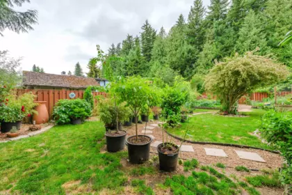 Front Yard Photo of 33318 Holland Avenue, Abbotsford, BC
