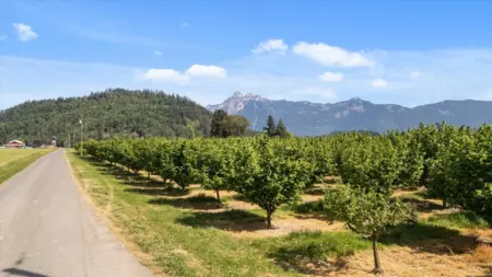 Guest Bathroom Photo of 4602 Hunt Road, Agassiz, BC